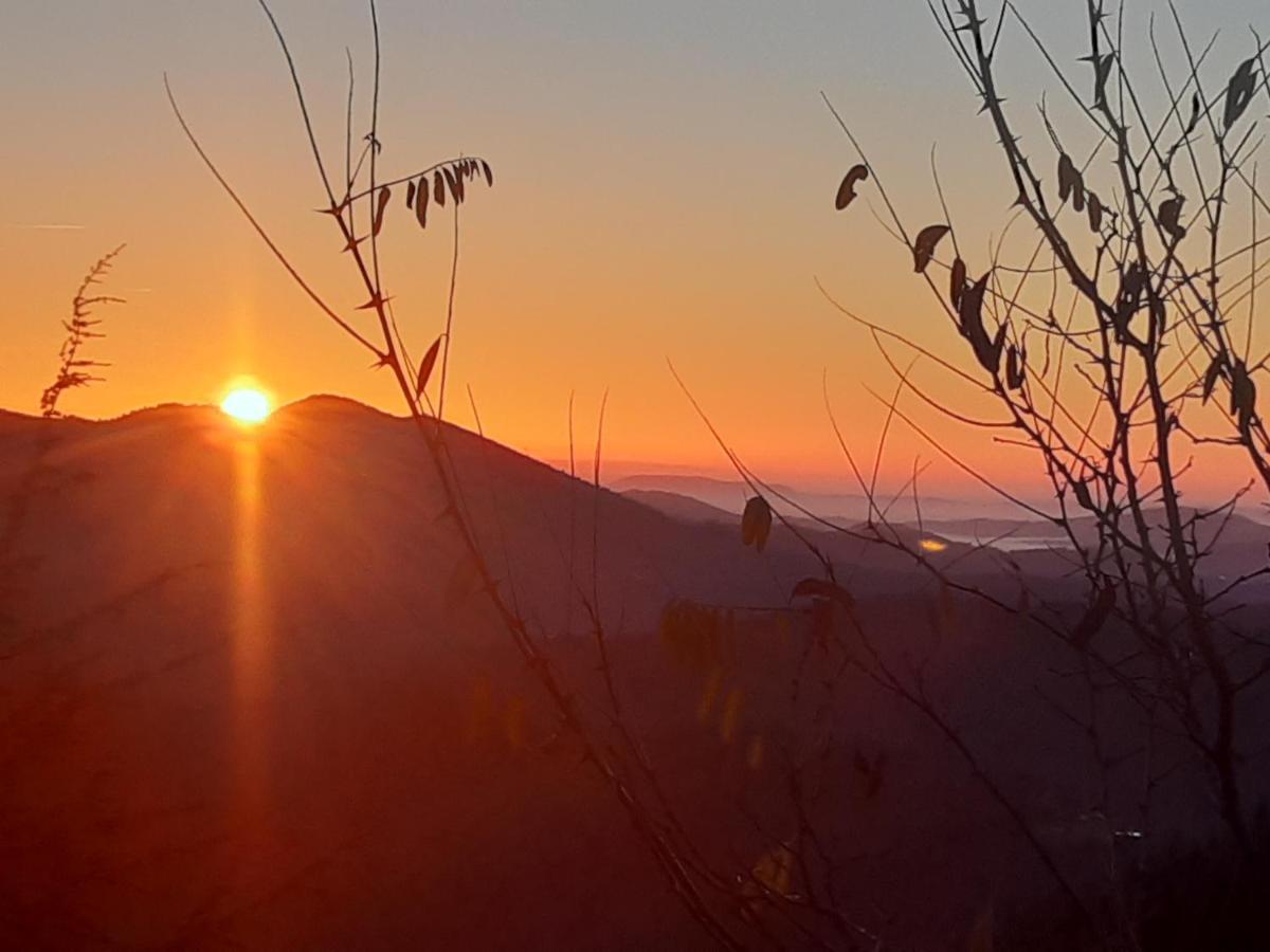 Gite L'Or Des Cevennes Saint-Andre-Capceze Екстер'єр фото
