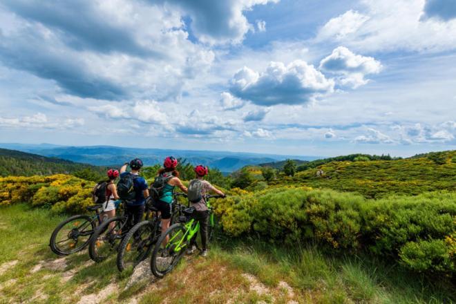 Gite L'Or Des Cevennes Saint-Andre-Capceze Екстер'єр фото