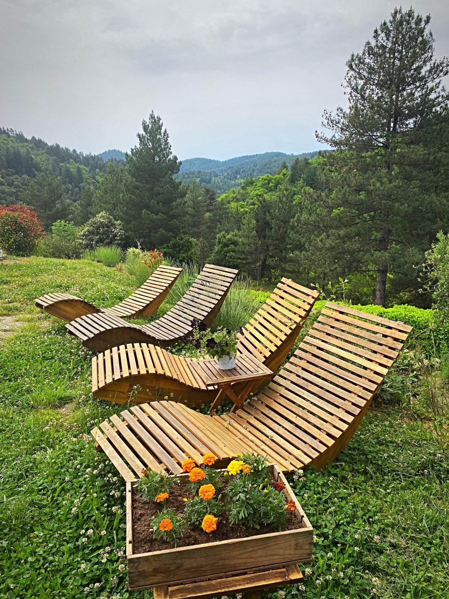 Gite L'Or Des Cevennes Saint-Andre-Capceze Екстер'єр фото