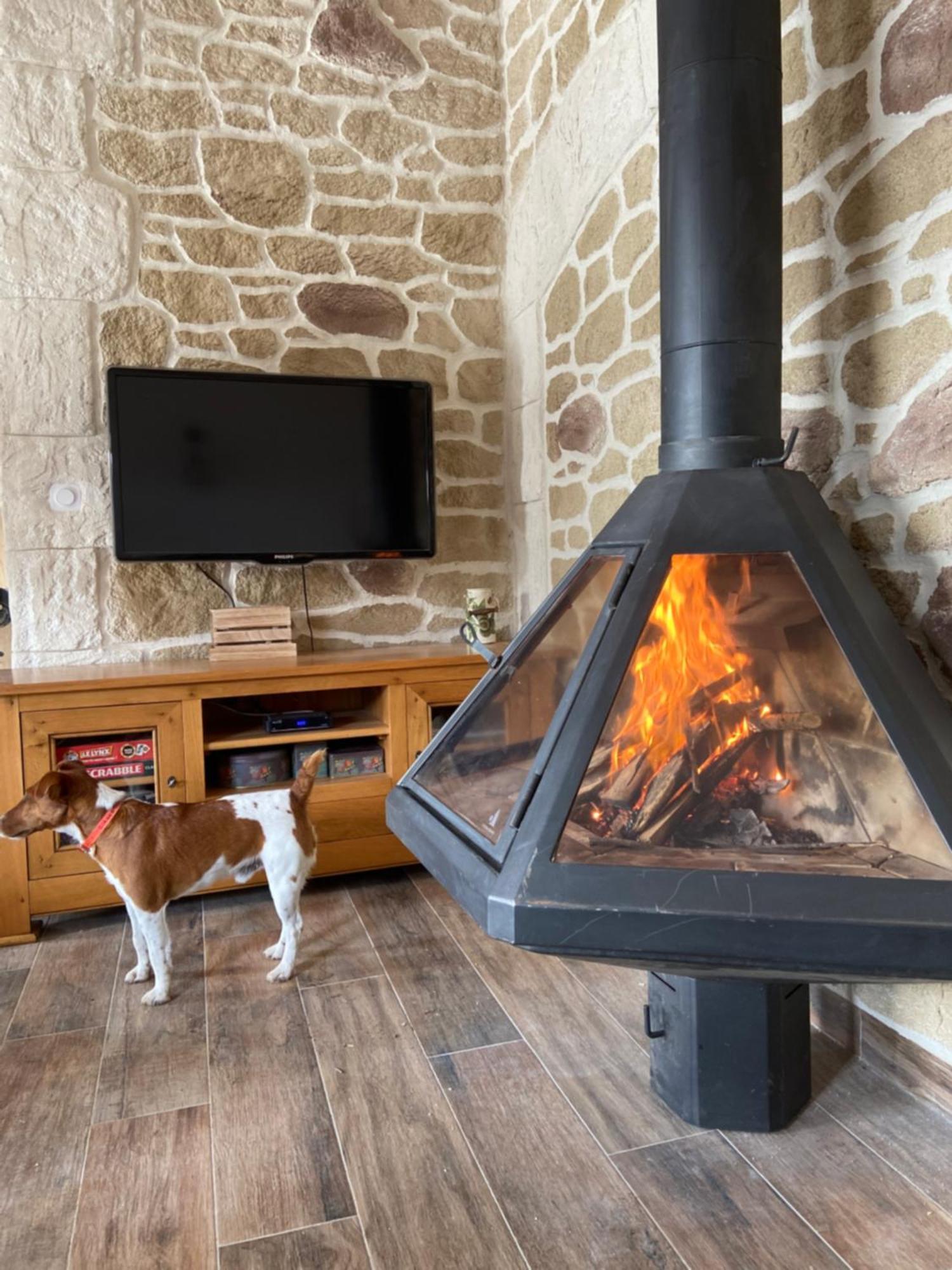 Gite L'Or Des Cevennes Saint-Andre-Capceze Екстер'єр фото
