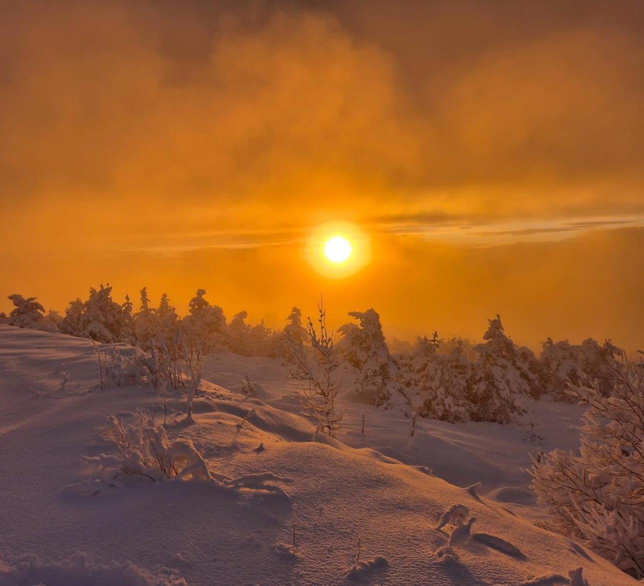 Gite L'Or Des Cevennes Saint-Andre-Capceze Екстер'єр фото